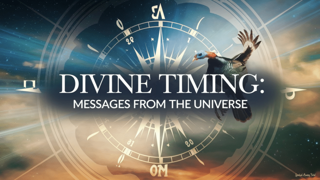 Divine Timing & Guidance 