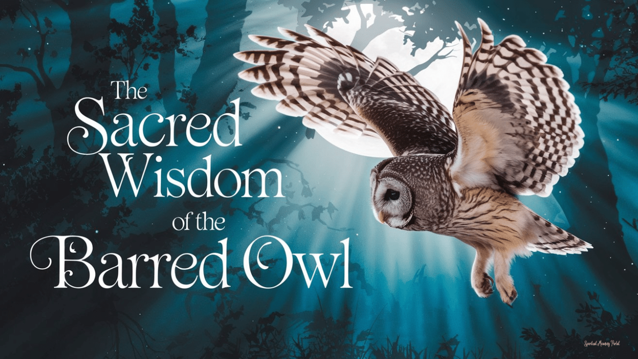 spiritual meaning barred owl