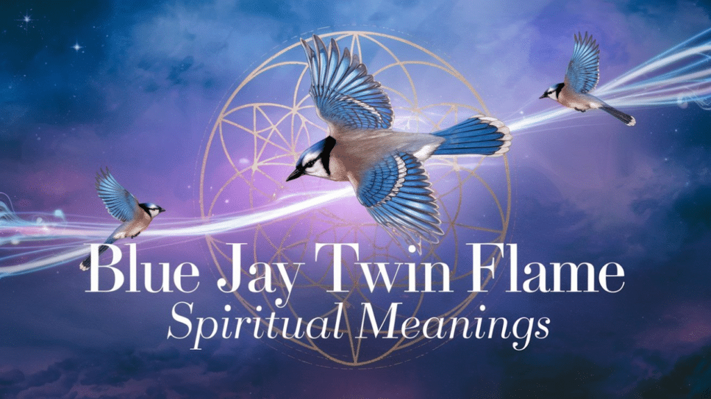 blue jay spiritual meaning twin flame