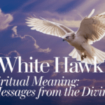 white hawk spiritual meaning