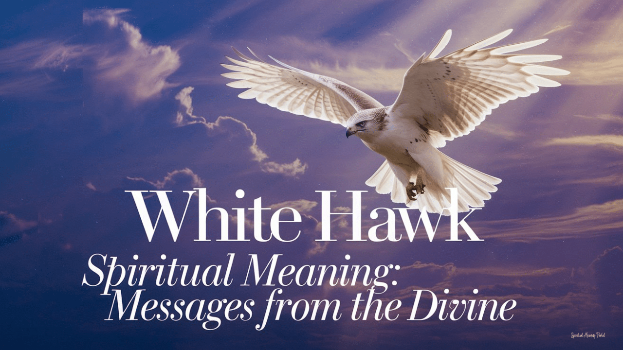 white hawk spiritual meaning