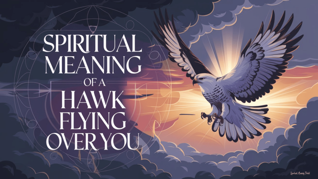 spiritual meaning hawk flying over you