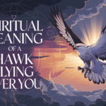 spiritual meaning hawk flying over you