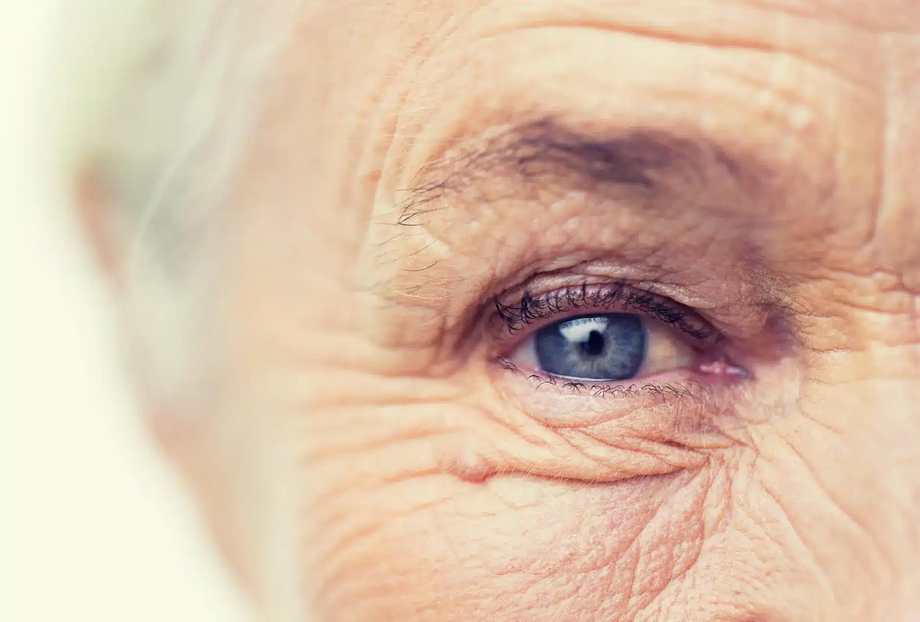 How Seniors Recognize Signs of Vision Decline