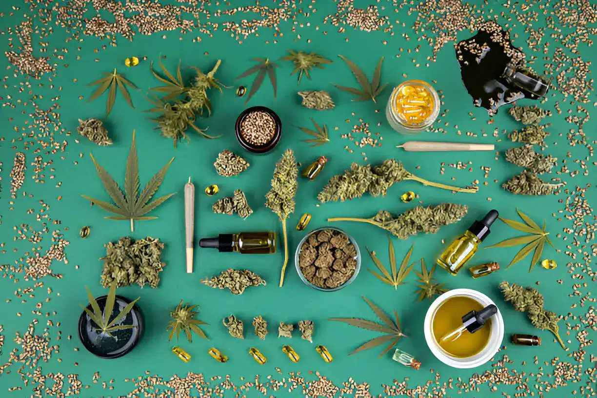 How to Choose the Right Types of Cannabis Products for You