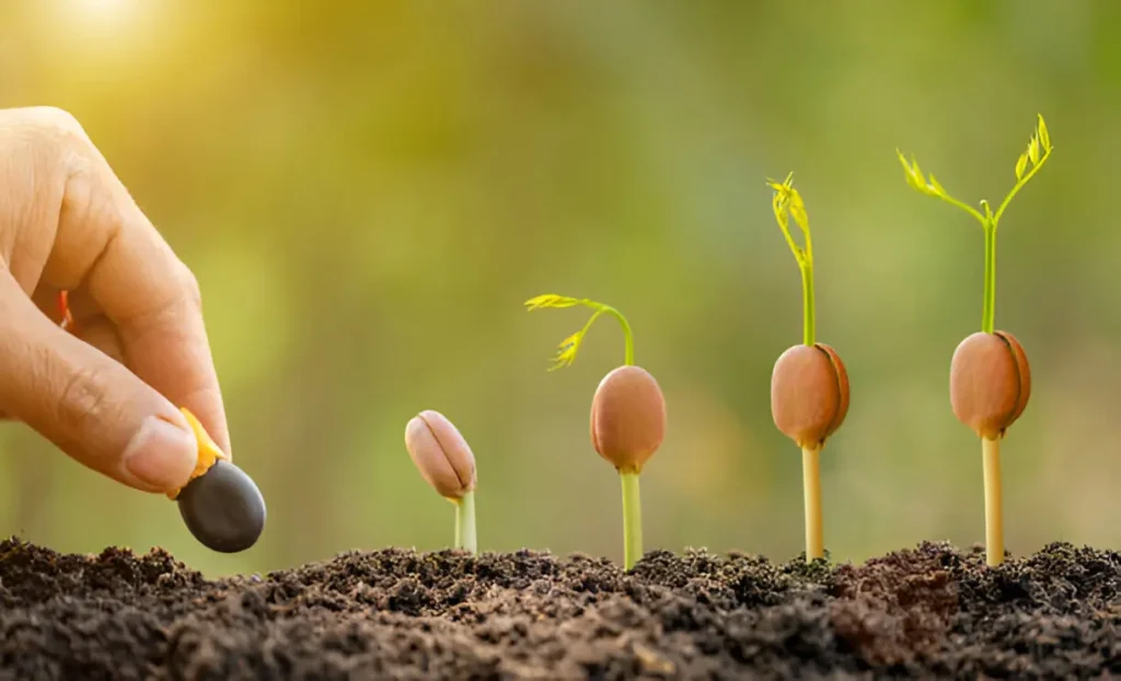 Seeds of Growth Why Early Learning Environments Shape More Than Just Minds