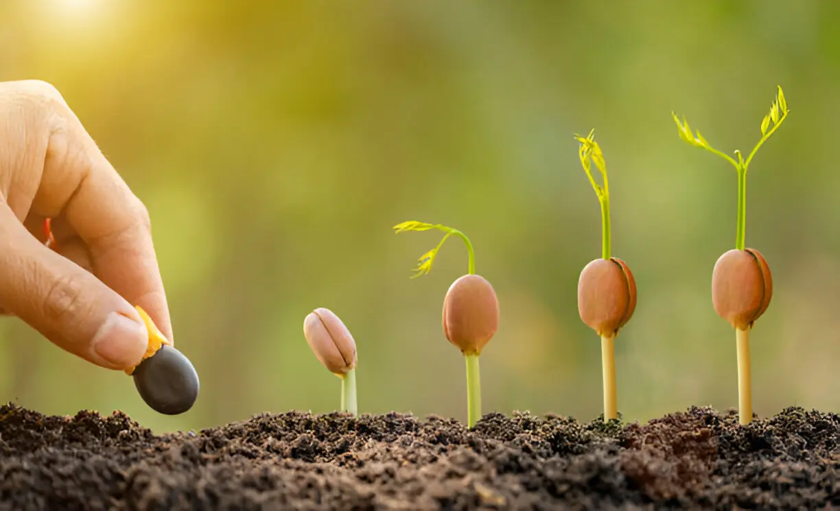Seeds of Growth Why Early Learning Environments Shape More Than Just Minds