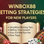 Winbox88 Betting Strategies for New Players