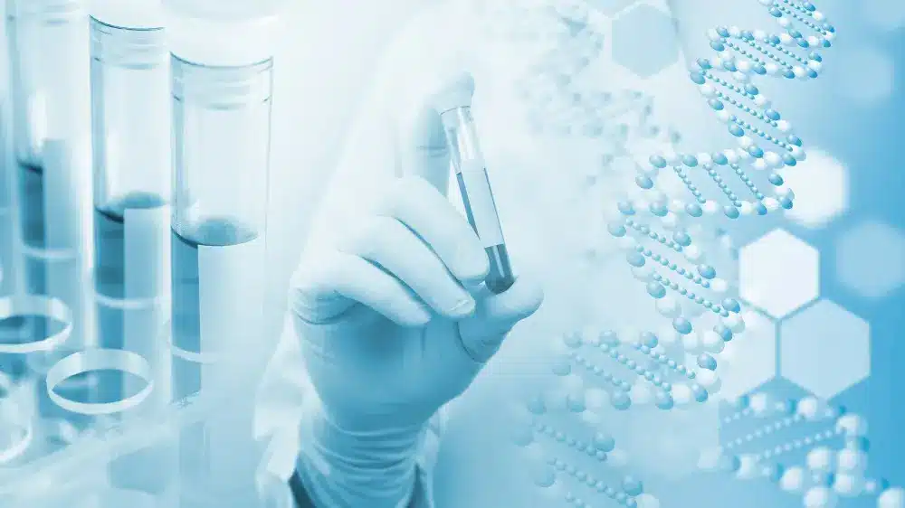Belonging To Something Bigger What You Can Learn From A DNA Test