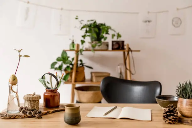 How Natural Décor Can Enhance Mental Health at Home and Work