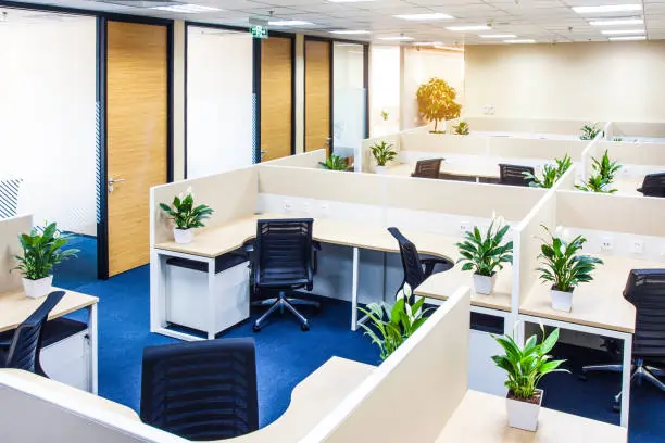 Budget-Friendly Ways to Upgrade Your Office Look