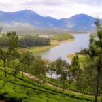 Cochin Munnar Alleppey Tour From Tea Gardens to Tranquil Backwaters