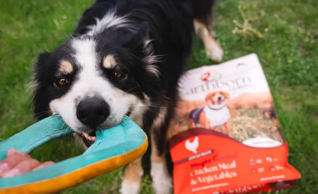      How Do Treats Fit Into Weight Control for Dogs