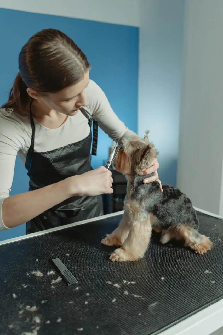 How to Control Your Dog's Shedding for a Cleaner Home