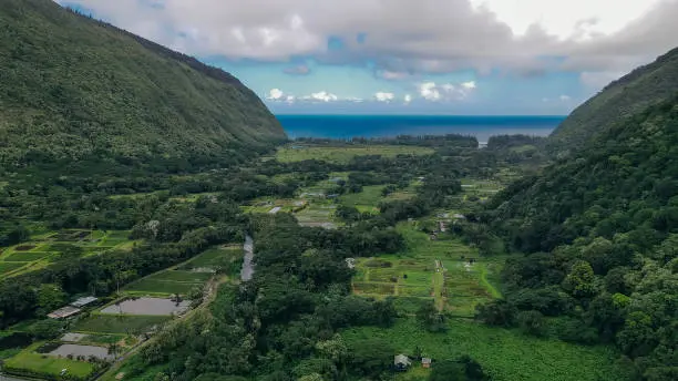 Remote Resilience How Hawaii Thrives Despite Its Isolation