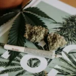 THC Dependency Help Your Complete Guide to Overcoming Marijuana Addiction