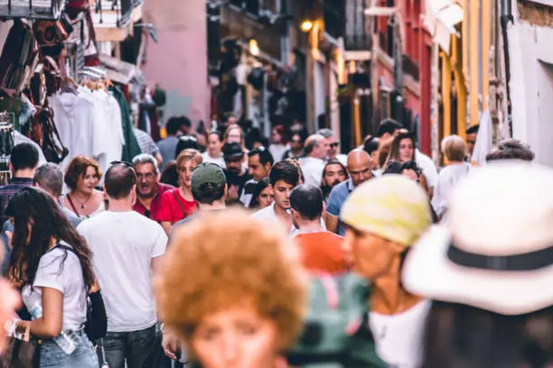 Exploring What Makes Subscriberz Stand Out in a Crowded Market