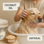 Natural Remedies to Soothe Your Pet's Itchy Skin