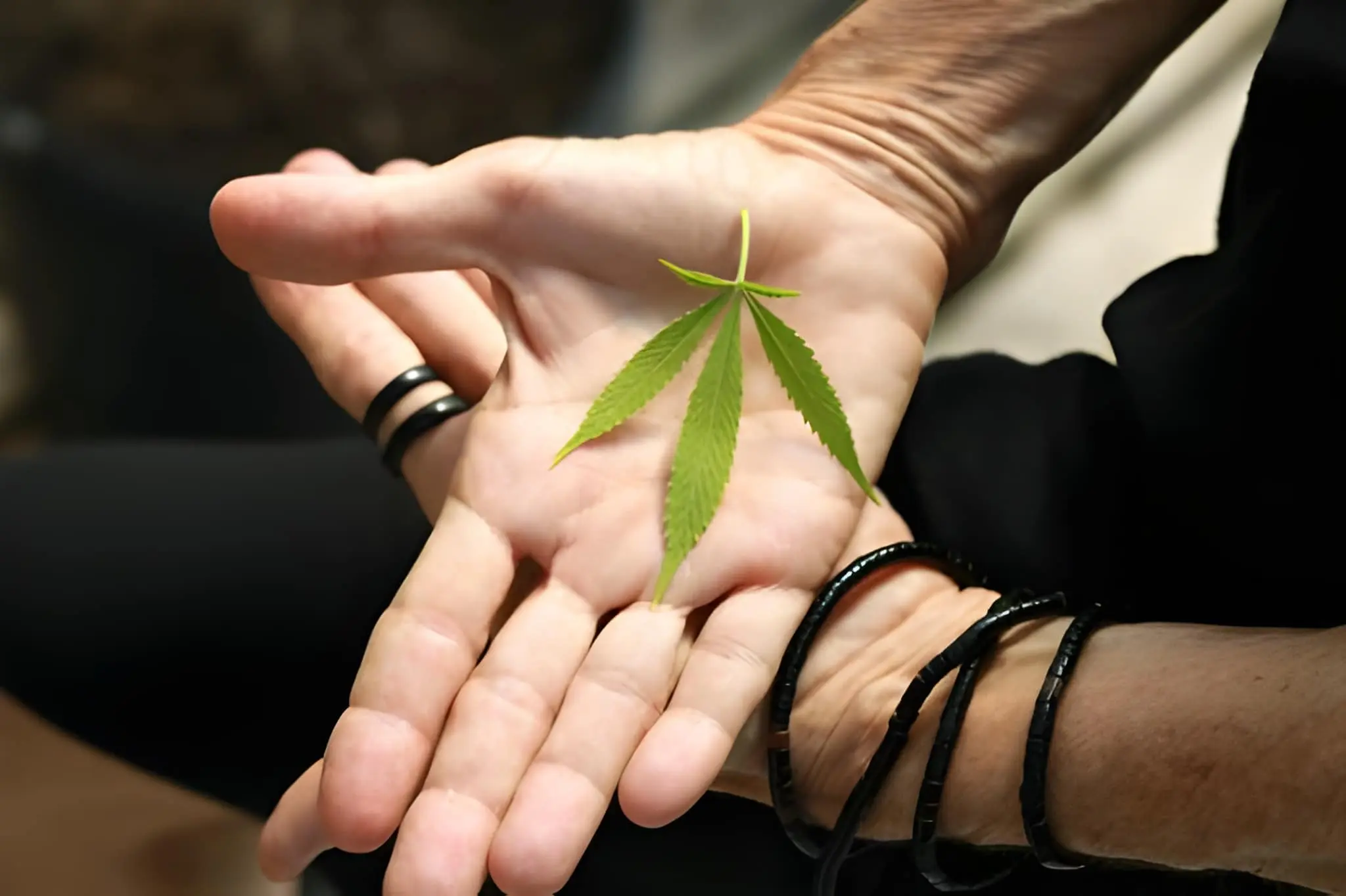 Holistic Healing Incorporating Cannabis into Your Spiritual Practices
