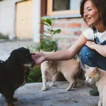 The Spiritual Meaning of Finding Lost Pets Why Lost Animals Often 'Come Home'