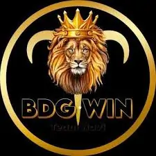 BDG Win Account Login Tips for Mobile and Desktop