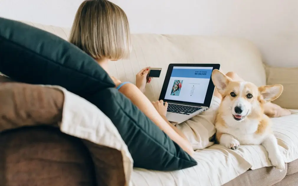 5 Ways to Ensure Your Health is Good Despite Living with Pets