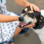 Ways to Love Yourself in Photographs