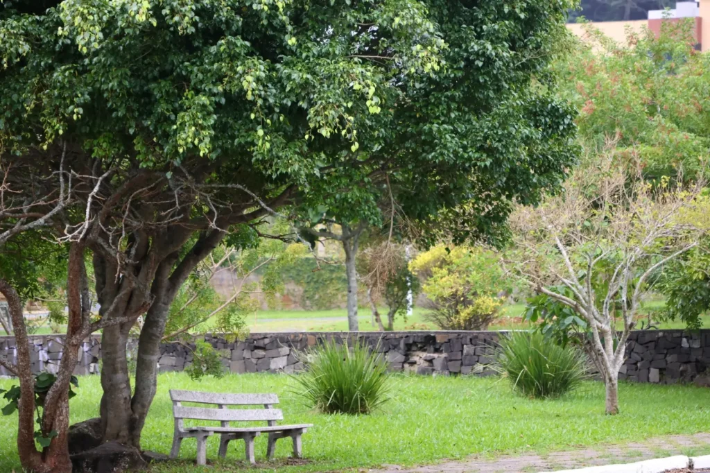 Designing the Garden Tips for Hosting Family Get-Togethers