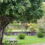 Designing the Garden Tips for Hosting Family Get-Togethers